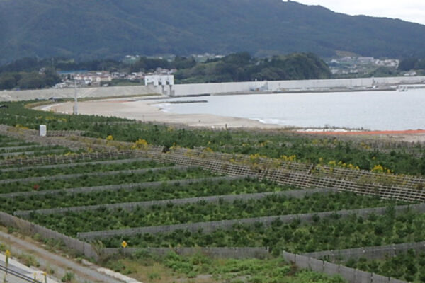 TOHOKU VOICE #014　百聞は一見に如かず