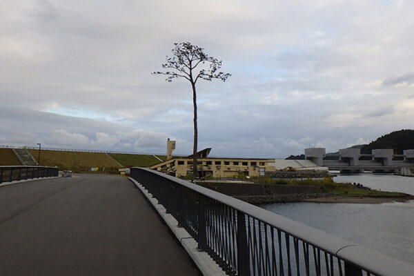 TOHOKU VOICE #054　普通に生活できることの幸せ