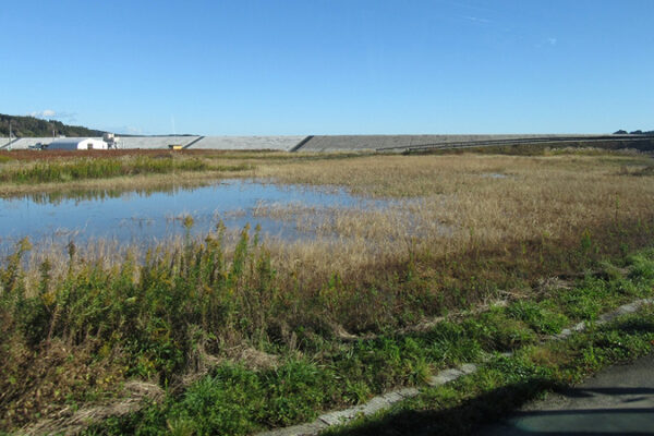 TOHOKU VOICE #058　危機意識の高さが分けた命運