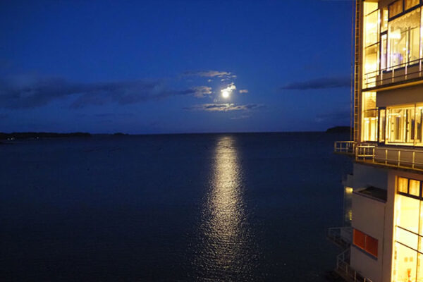 TOHOKU VOICE #061　家族との安否確認の重要性