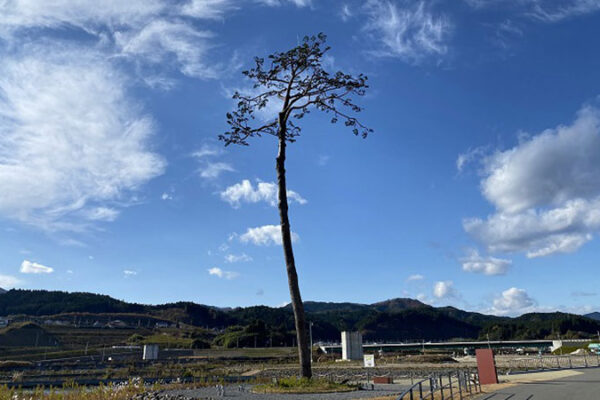 TOHOKU VOICE #035　津波てんでんこ